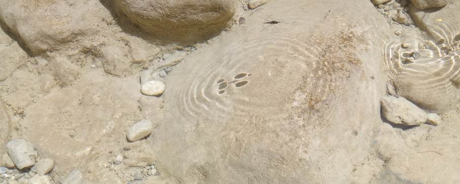 Et bilde som inneholder grunn, sand, kalkstein, geologi

Automatisk generert beskrivelse