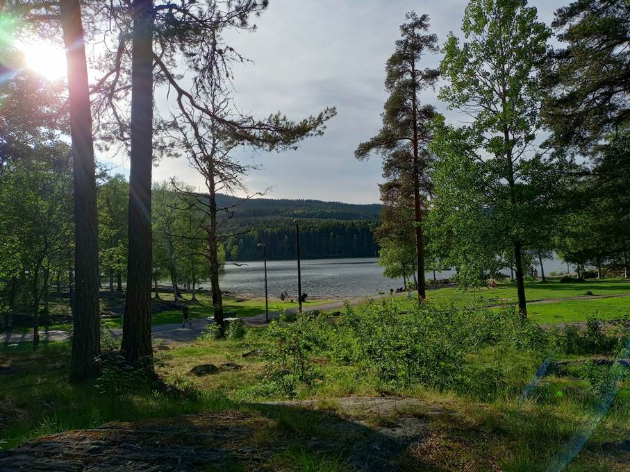 Et bilde som inneholder utendrs, gress, himmel, natur

Automatisk generert beskrivelse