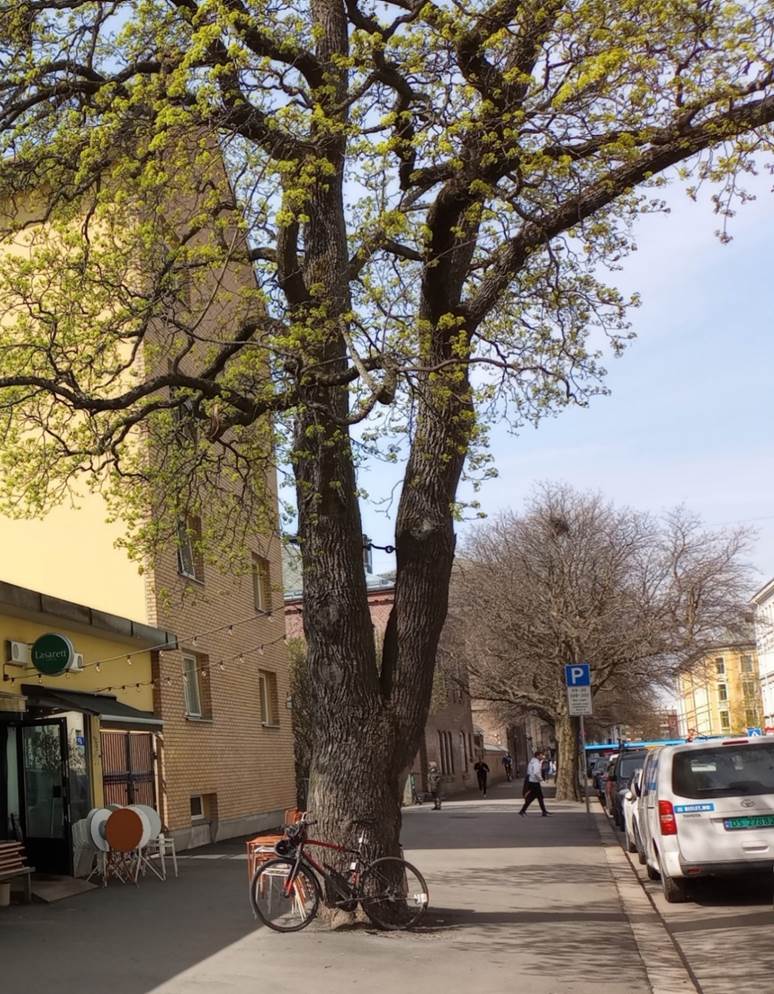 Et bilde som inneholder utendrs, himmel, konstruksjon, Landkjrety

Automatisk generert beskrivelse